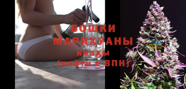 PSILOCYBIN Абдулино