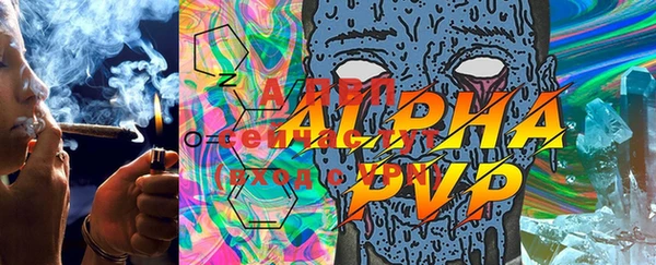 PSILOCYBIN Абдулино